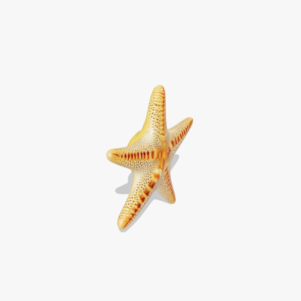 Realistic Starfish Marine Sculpture model pack